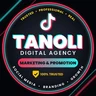 Tanoli Digital Agency logo